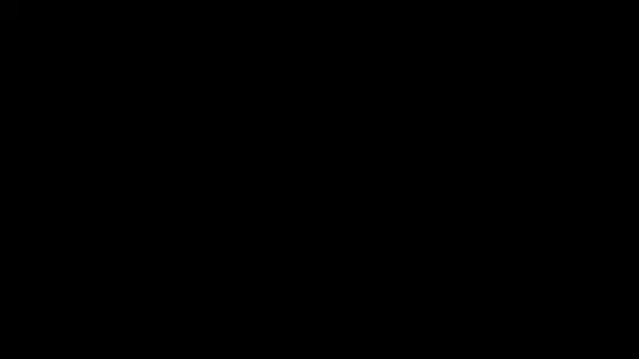 luisa_curli