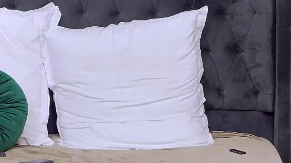 AnnieNox