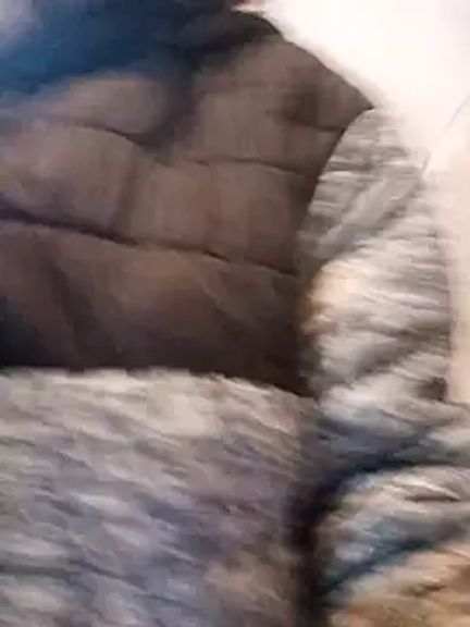 MINI_Petite