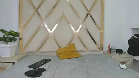mitch_asm