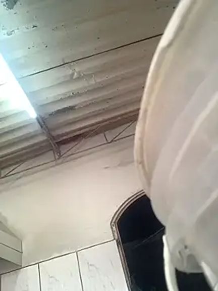 lolitaloira2