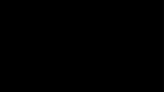 ZenZestX