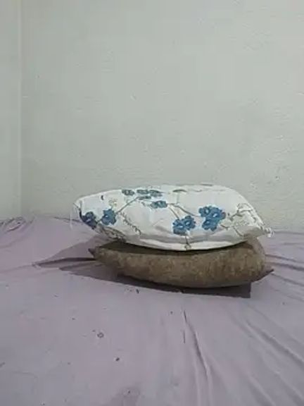 Kedicigi_Miyavlat