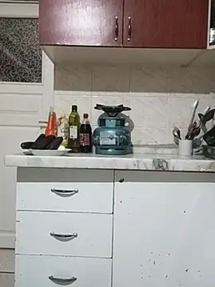 Kedicigi_Miyavlat
