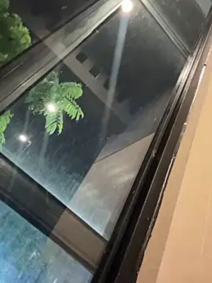 Tina_995