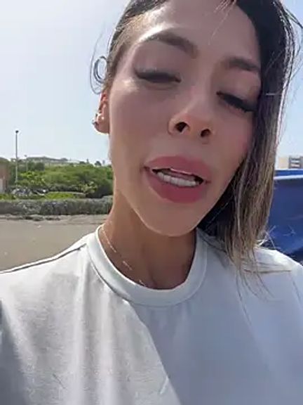 Palmer__