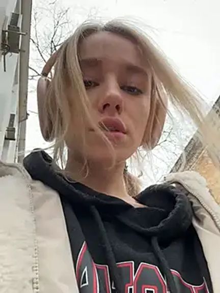 SSSATIVA_model