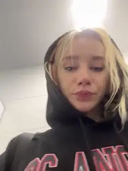 SSSATIVA_model