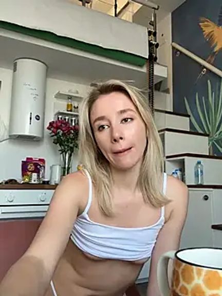 SSSATIVA_model