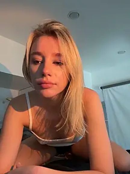 SSSATIVA_model