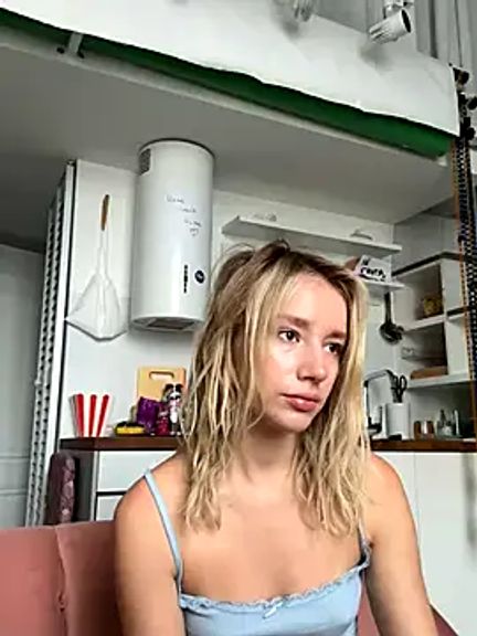 SSSATIVA_model