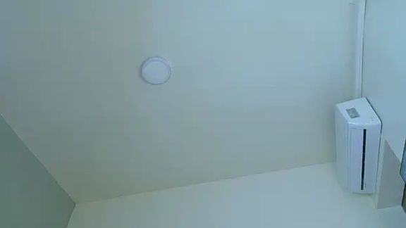 LexaDominant__