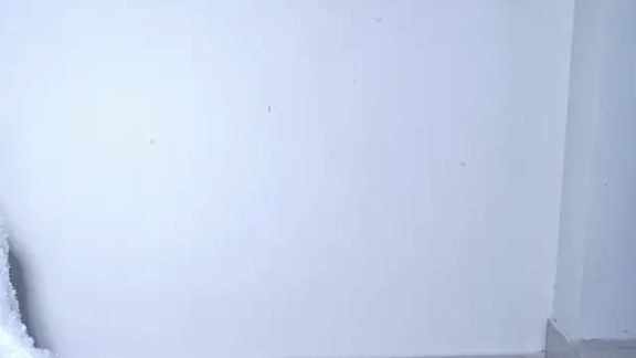 Aashika-Kaur