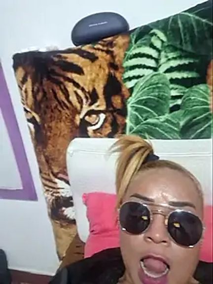 gatadeojosclaros