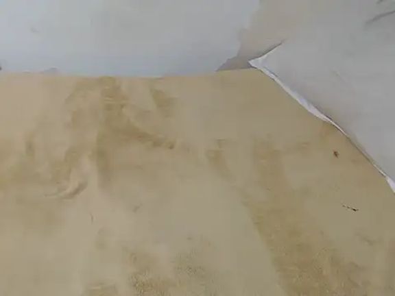 Savage_Petal