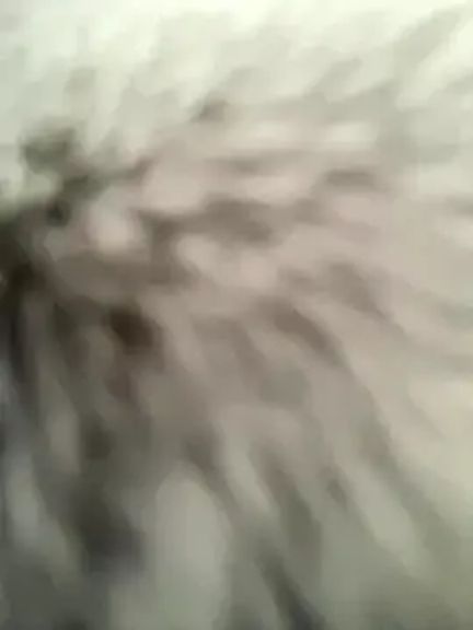 HotXMom