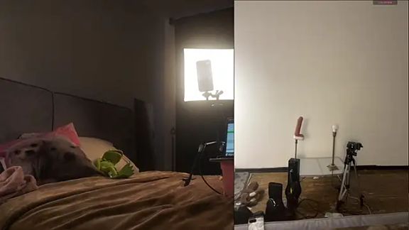 AngelinaNoAngel
