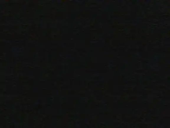 shugabaibe