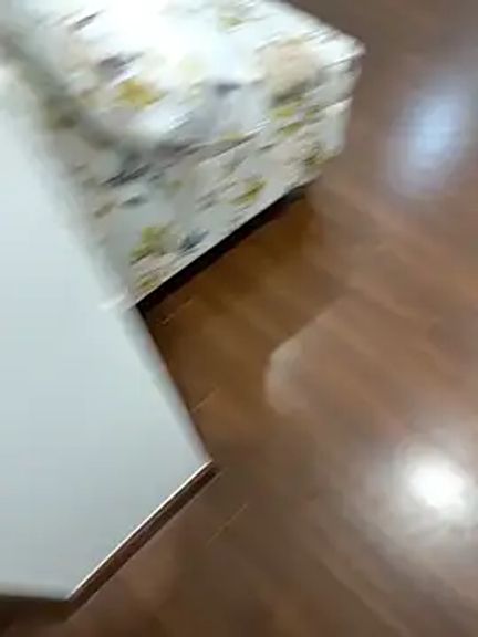 huahua-love
