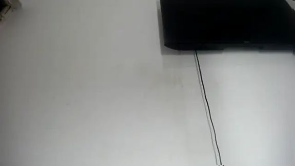 Fox_Loves