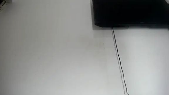 Fox_Loves