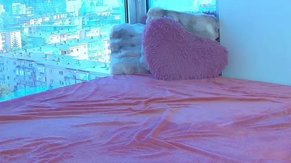 Crystal_Domme