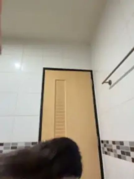 LINDA_HD