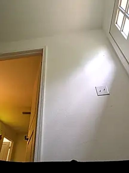 trippsgotlips