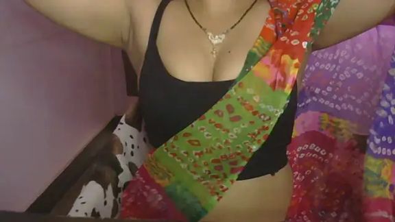 Punjaban_patola