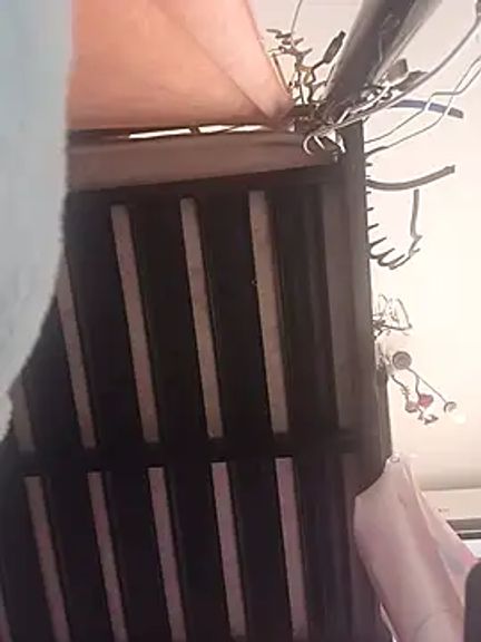 HabibteAna