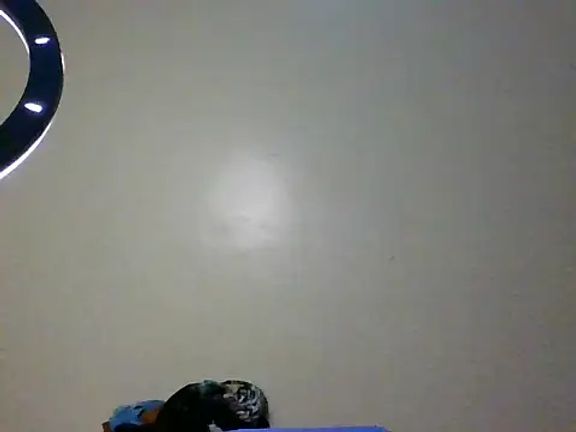 bedroombullyh
