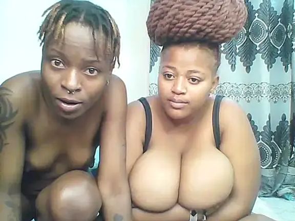African_boobies