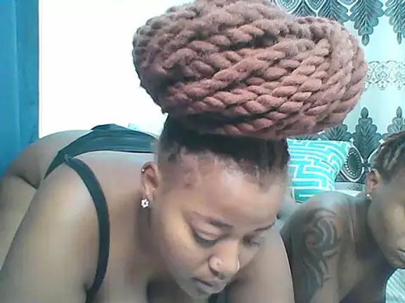 African_boobies