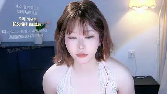 xiaomao-2026