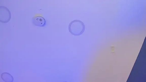 deluca_vega