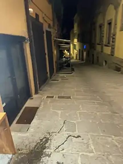 mina_vagante