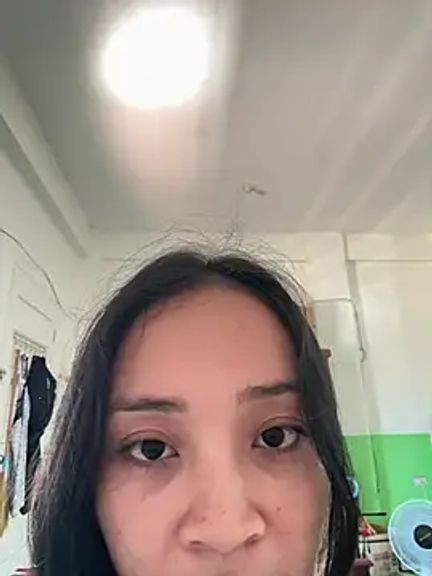 xlamina_