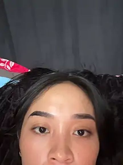xlamina_