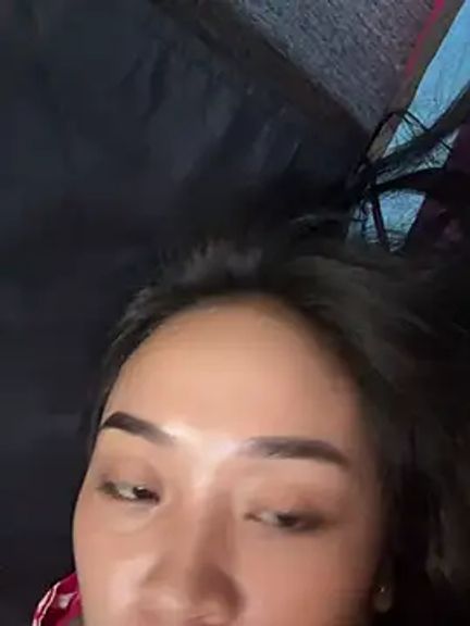 xlamina_