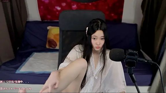 hudie_chan