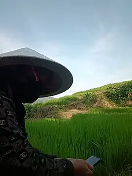 Mai-lingg