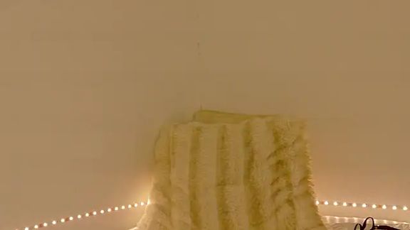 Ammellia_