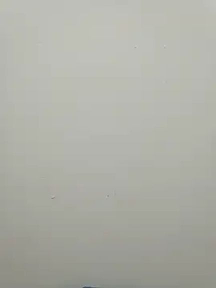 Baby-ladyboobs2026