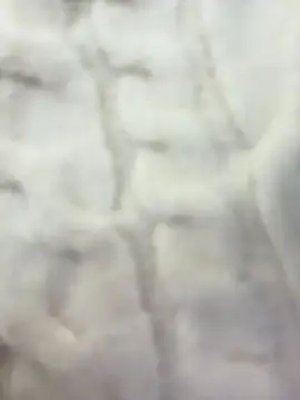 AndreaMood