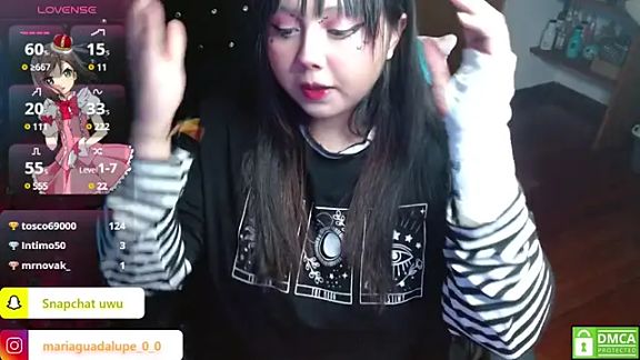 litlle_cat