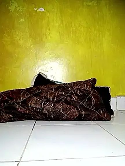 Twinklestar254
