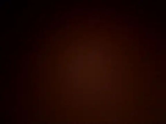 AnnalSV91
