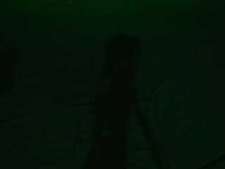 Lunaray1
